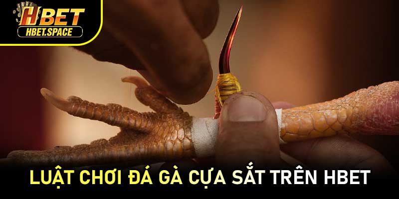 Luật Chơi Đá Gà Cựa Sắt Trên HBET